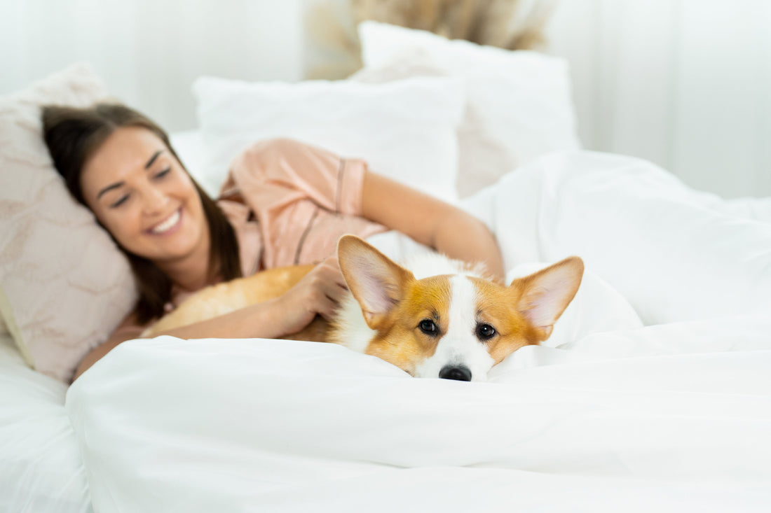 Best Thread Count for Sheets: Your Go-To Guide Before Buying Bed Sheets