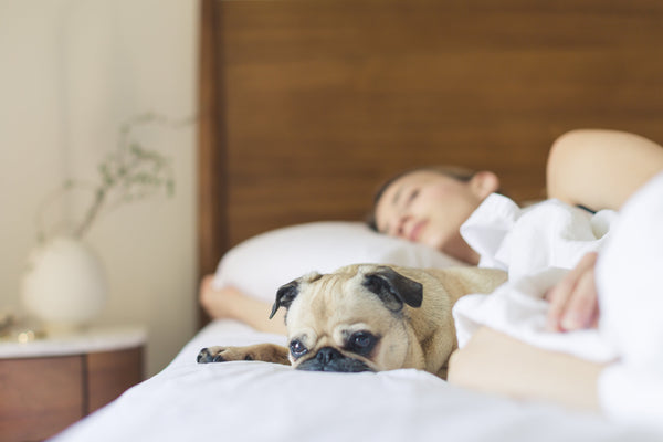 4 Tips To Getting A Great Night's Sleep