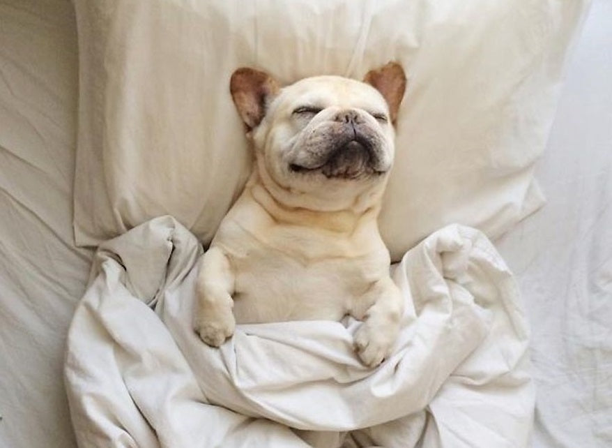 Are your sheets Oeko-Tex Certified?